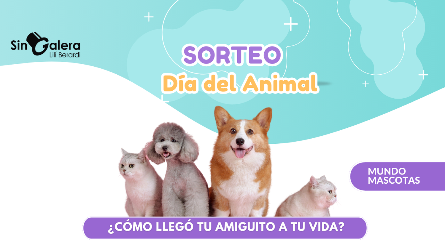 Mundo Mascotas: ¿cómo llegó tu amiguito a tu vida?