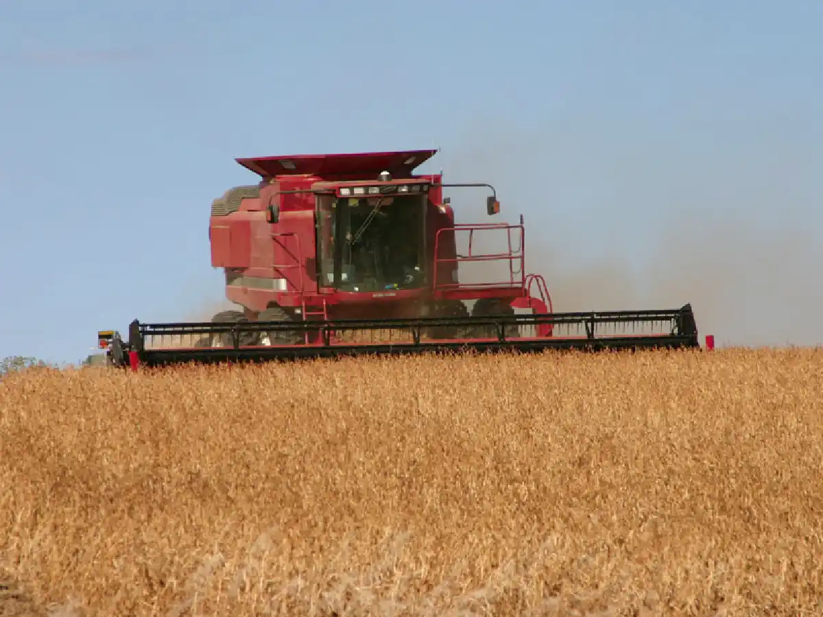 El Gobierno subió retenciones al campo y ya hay polémica en el sector 