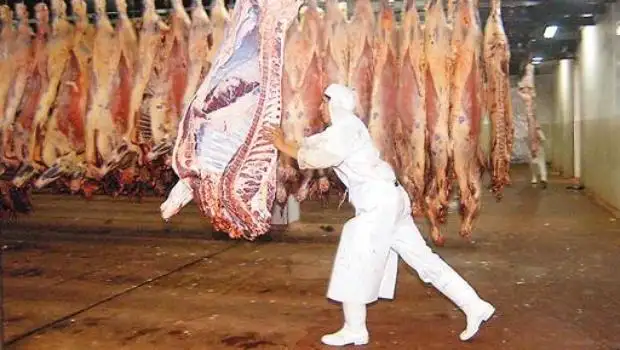 Uno de los mayores figoríficos de Brasil quiere llegar a la Argentina