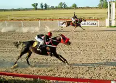Turf: el domingo se supendió la reunión turfística local