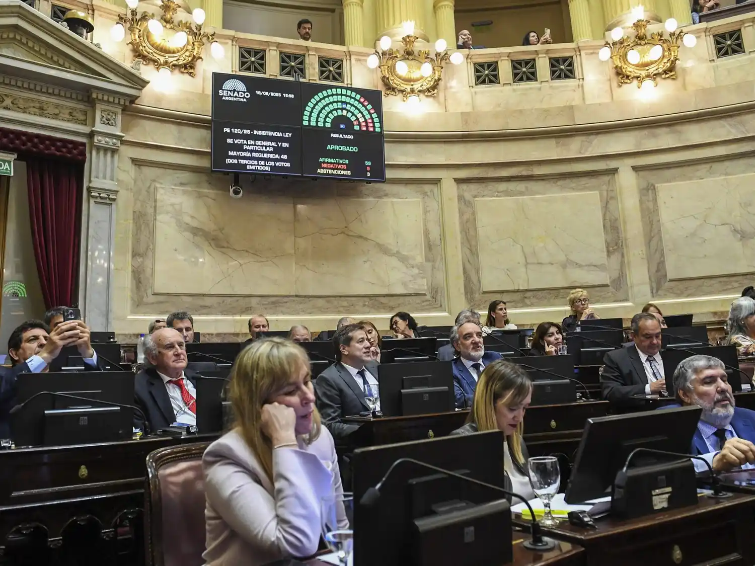 El Senado rechazó los vetos a la emergencia pediátrica y el financiamiento universitario