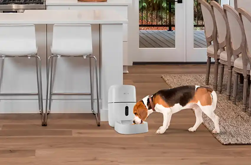 Llegó el Dispensador Inteligente de alimento para mascotas de Nexxt Solutions