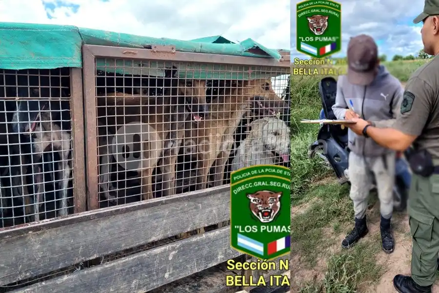 Los Pumas atraparon a cuatro personas cazando con perros galgo