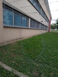 Volvieron a robar en la Escuela Primaria 14: La policía detuvo al autor
