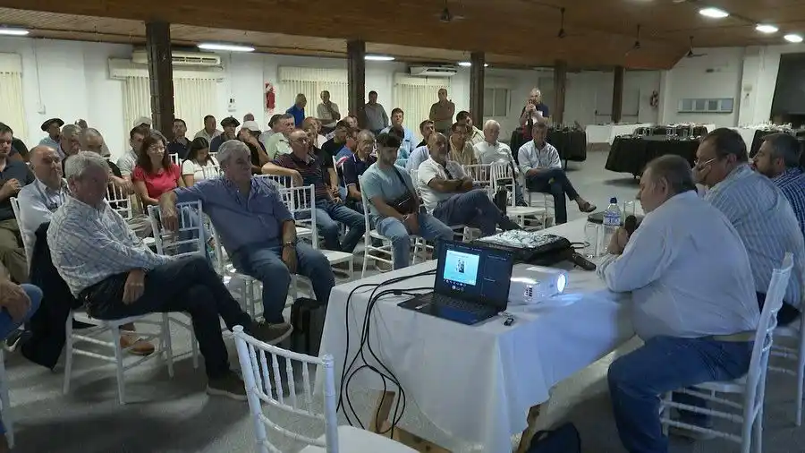 Arranca la vacunación contra la aftosa y la brucelosis en Entre Ríos