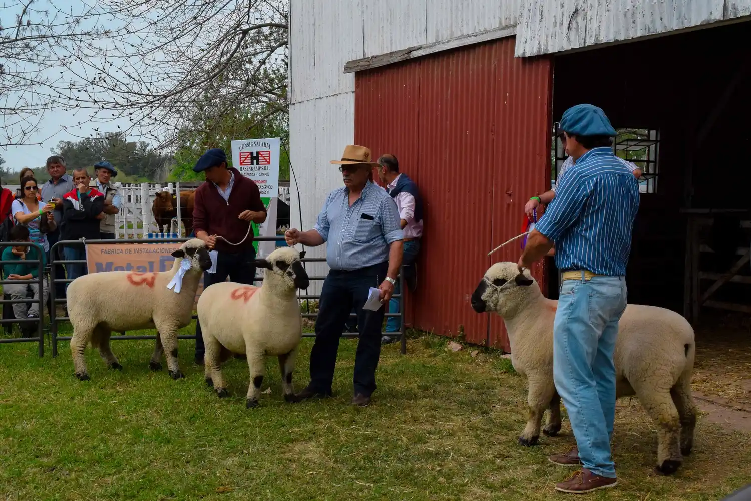 Preparativos para una nueva edición de la Exposición Rural