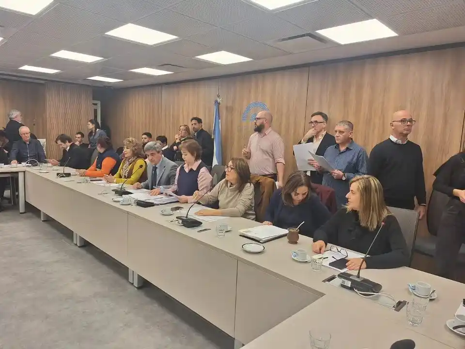 Diputados avanza con dictámenes para declarar la emergencia en el Hospital Garrahan por dos años