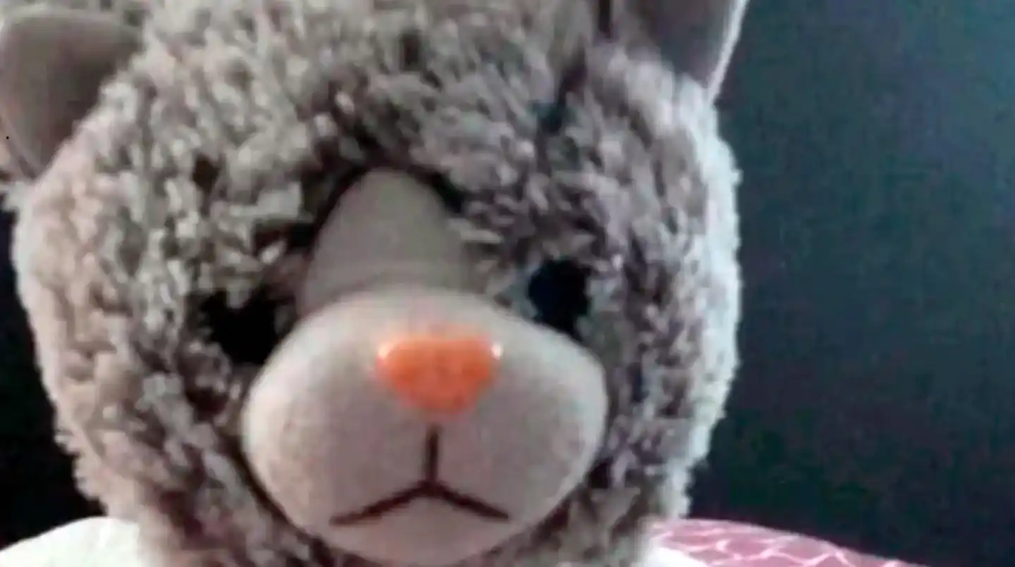 Una pesadilla: extorsionaron a una familia para recuperar el peluche de su hijo con autismo