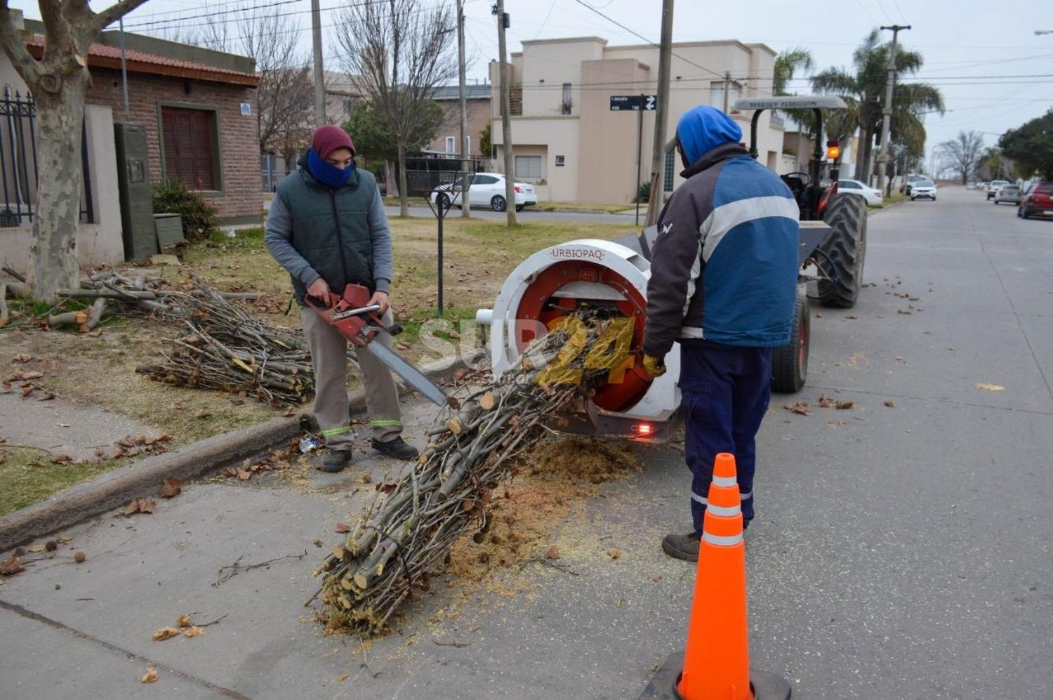 Continúan los trabajos de poda, desmalezado y limpieza en varios puntos de la ciudad