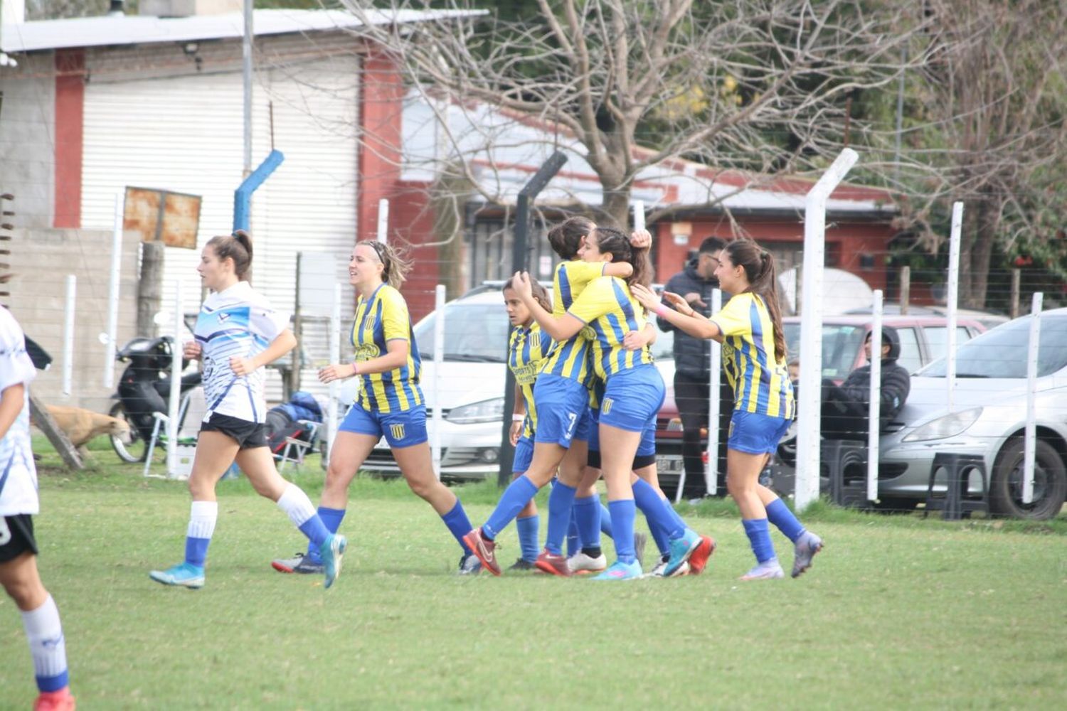 Fecha y horario confirmado para las semifinales del femenino