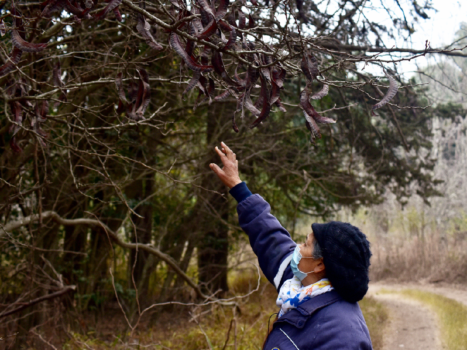 El verdadero bosque de Winden está en San Francisco