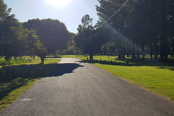 Ola de calor: qué temperaturas se esperan en San Pedro