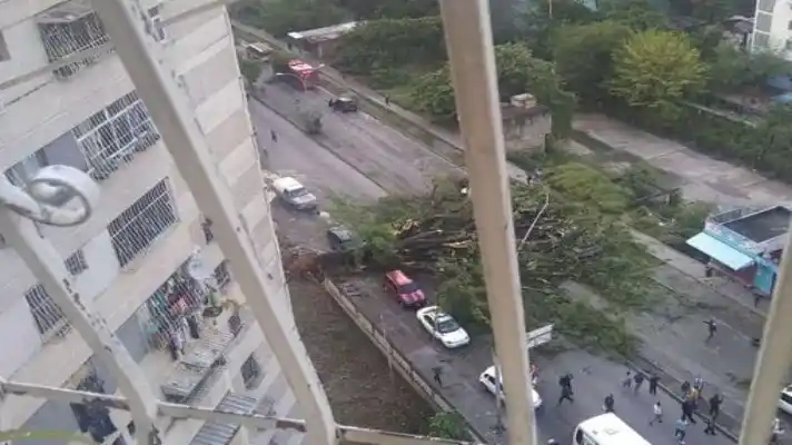 UN ABUELO MUERTO Y VARIOS HERIDOS el saldo de la caída de un árbol en Guarenas