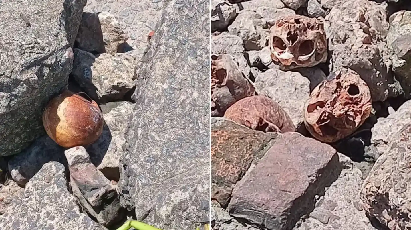 Conmoción en Quilmes: encontraron 20 cráneos humanos en la ribera
