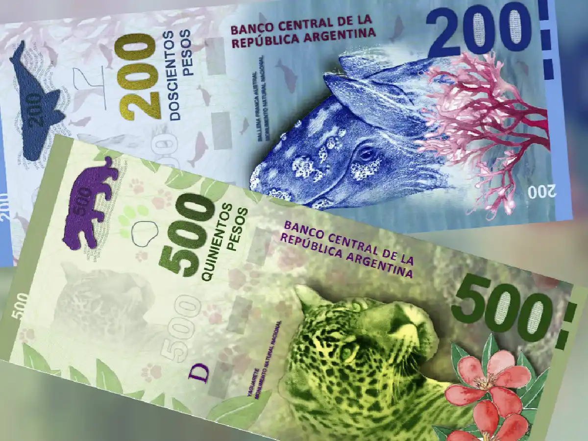 La nueva familia de billetes entraría en circulación dentro de seis meses