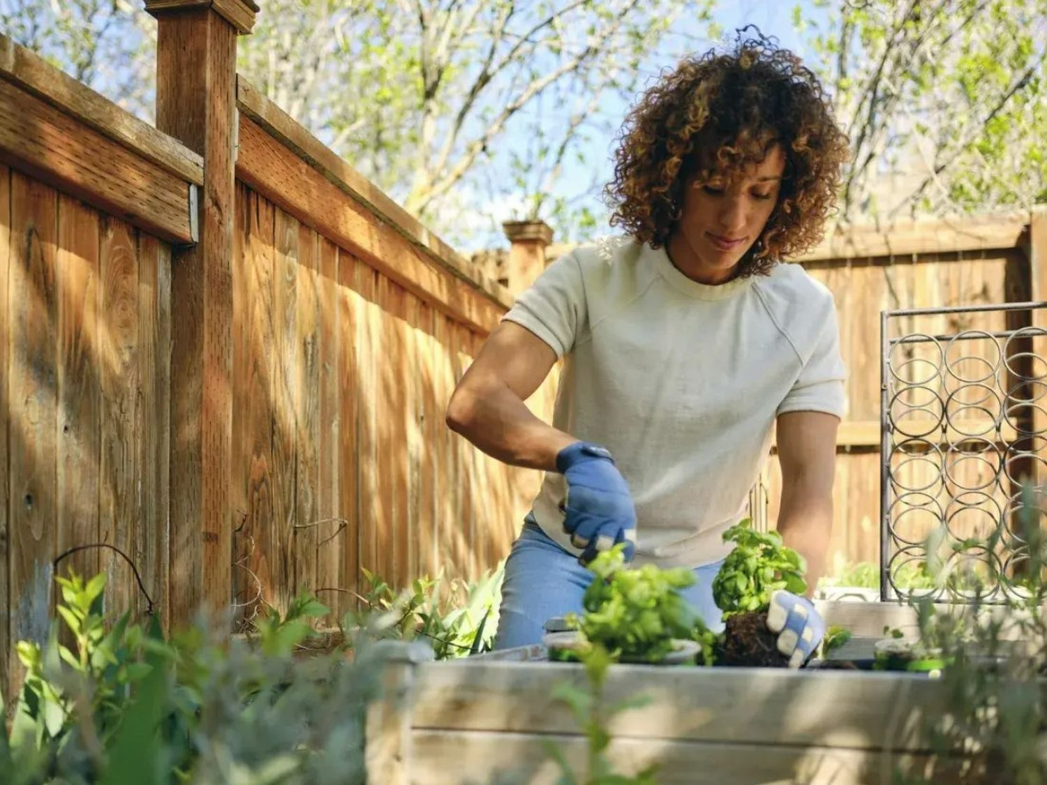 Septiembre en la huerta: prepará la tierra y sembrá para primavera