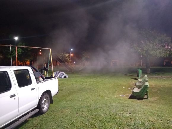 Primer caso de dengue autóctono en una paciente de 18 años en Bajo Puerto