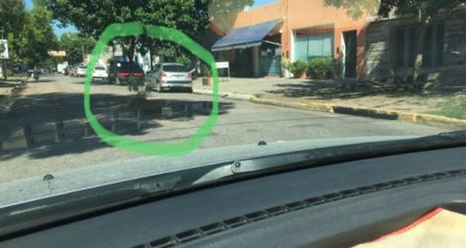 Reporte ciudadano