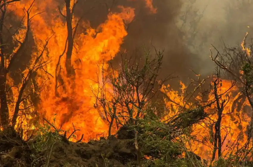 Aprobaron la ley del manejo del fuego: prohíben la venta de terrenos incendiados en plazos de 30 y 60 años