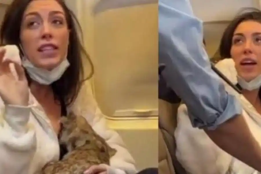 Amamantó a su gato en pleno vuelo y los pasajeros se horrorizaron: “Es repugnante”