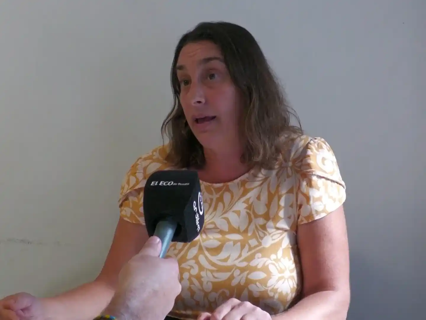 “No se trata solamente de mejorar el tránsito, sino de pensar cómo se integra esa traza a la ciudad”, planteó la defensora del Pueblo.