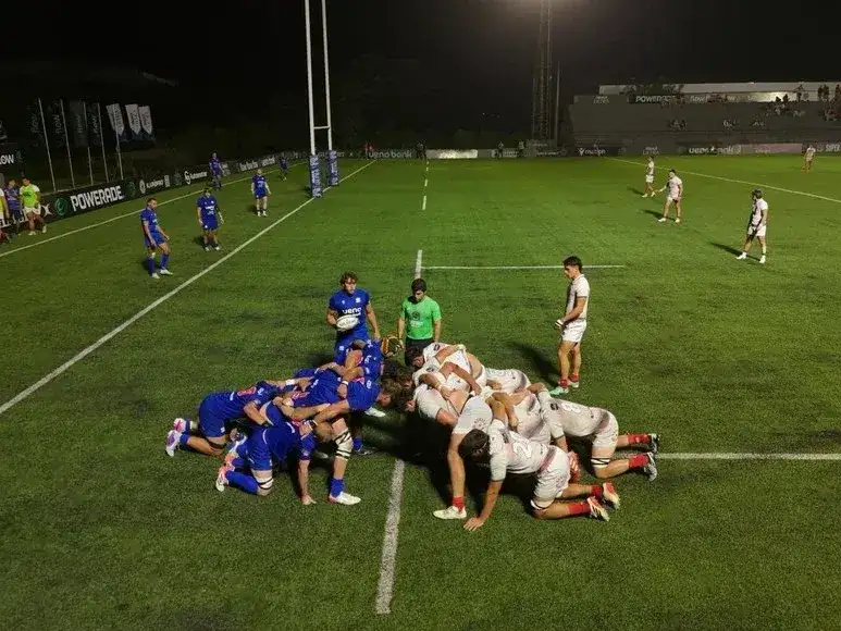 Capibaras XV