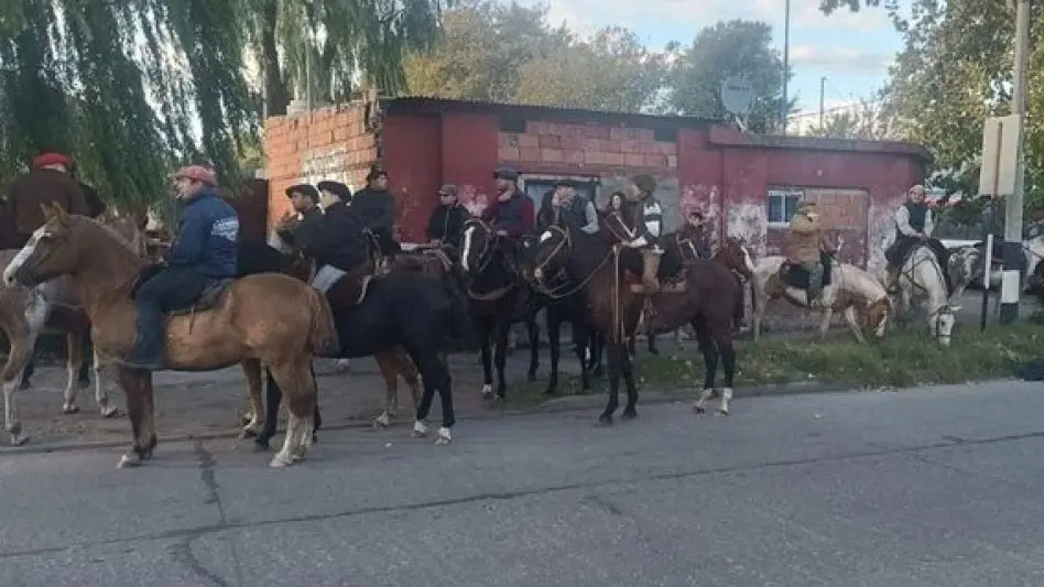 Se roban un caballo por día para faenarlo: advierten que la carne podría ser vendida en carnicerías