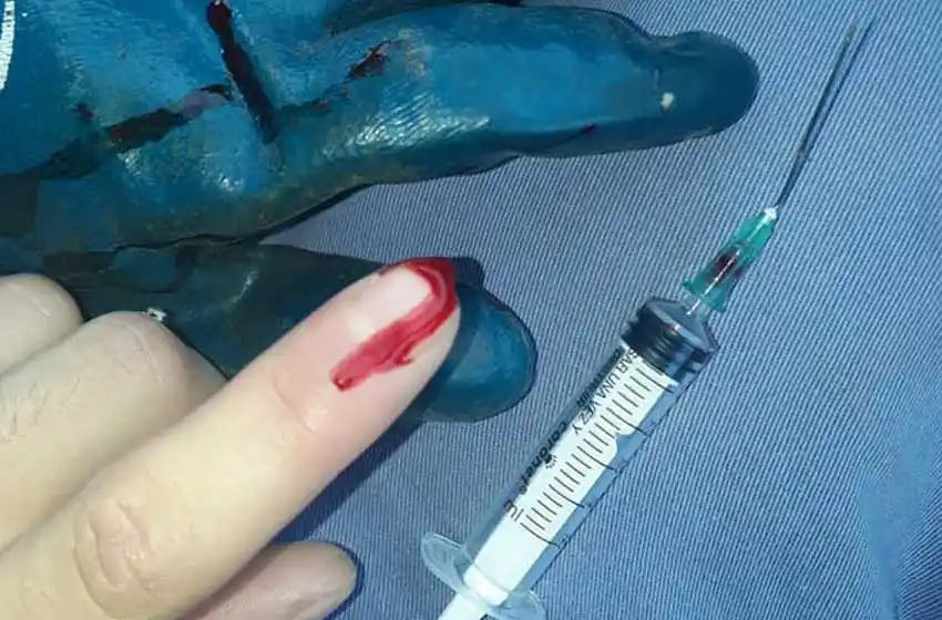 "La gente no toma conciencia y daña a los recolectores de residuos"