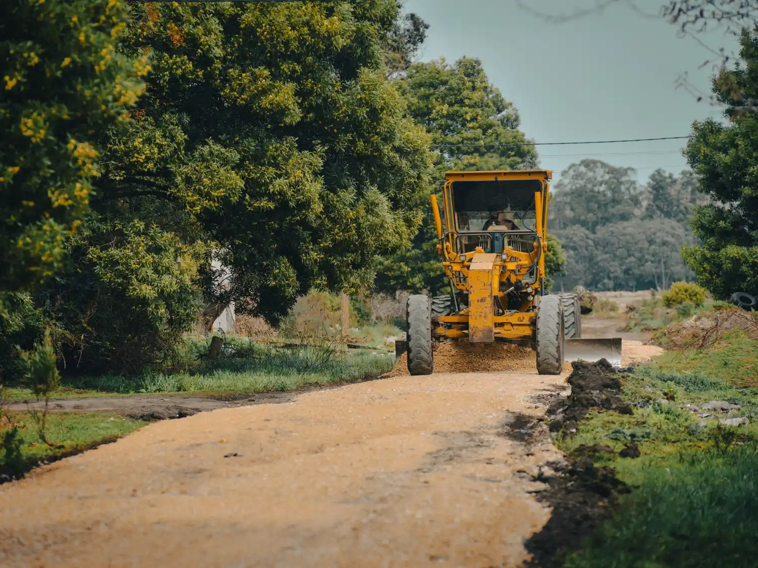 También implementaron el programa Propietario Responsable,que consiste en la intimación de los propietarios de terrenos que se encuentran en estado de abandono para que los acondicionen.