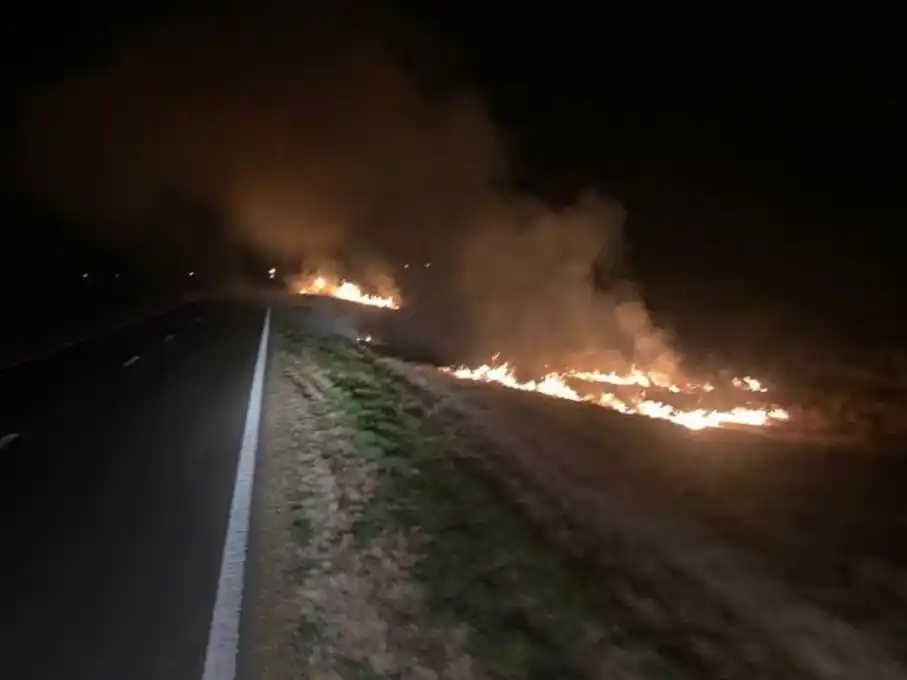El fuego se desató bien cerca de la cinta asfáltica.