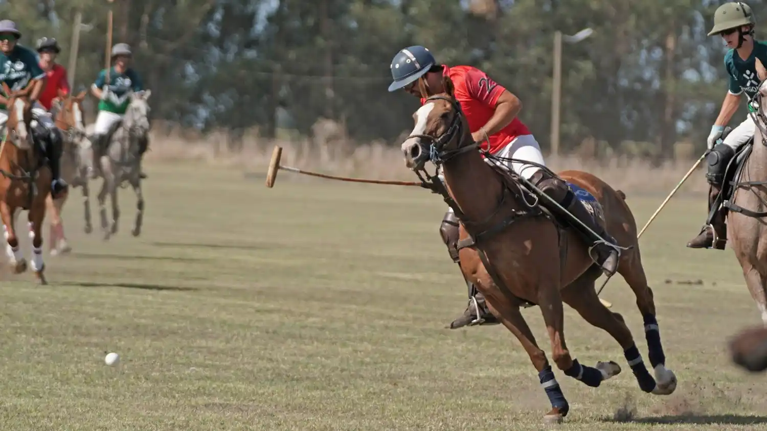Torneo "Las Lechuzas" - Polo