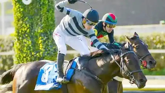 Acento Final va por la Copa de Oro (G1) en San Isidro, pensando en el Pellegrini (G1).