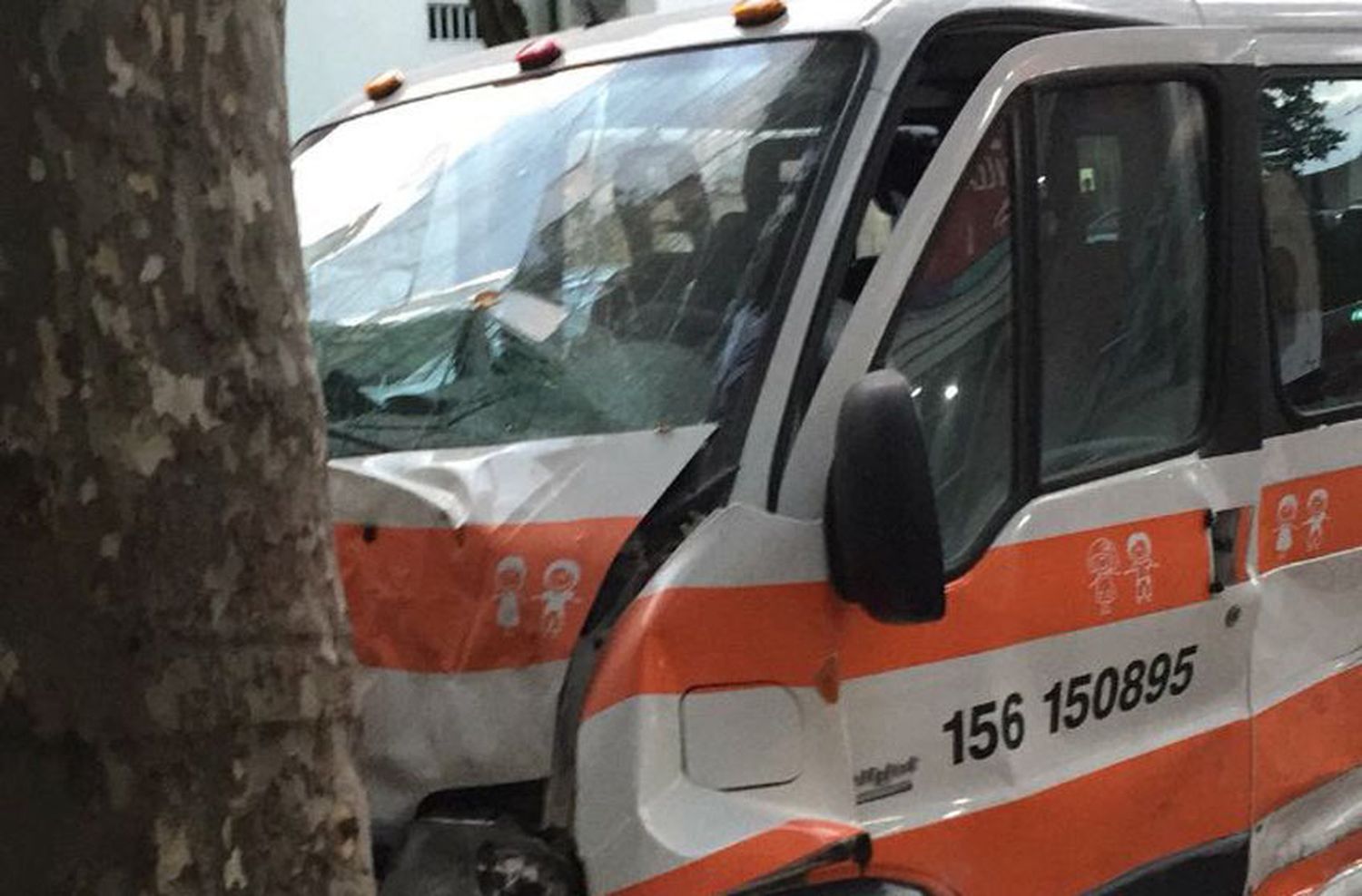 Chocó un transporte escolar: seis niños y la conductora resultaron heridos