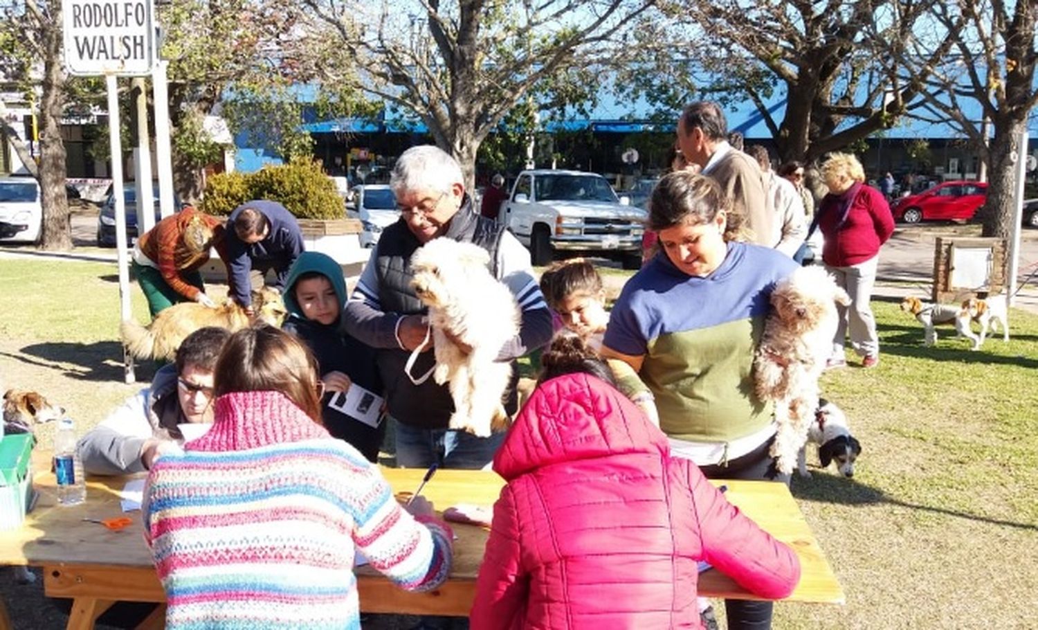 Los operativos veterinarios se llevan a cabo los martes, solamente por la mañana, ahora de 10 a 14. Foto: Gentileza.