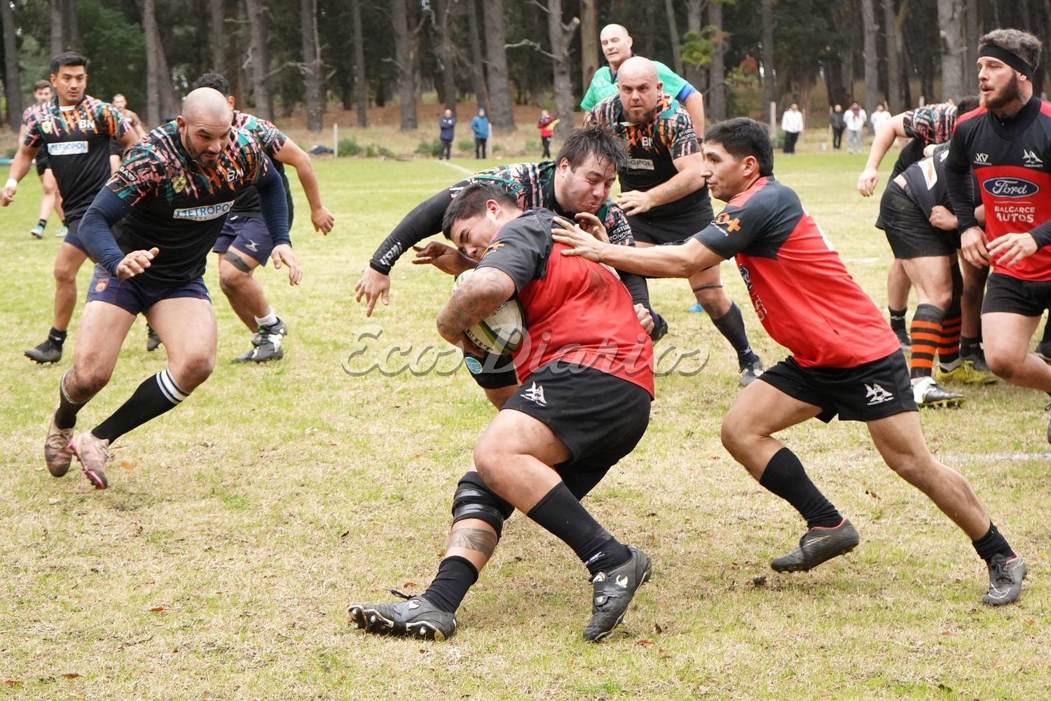 Necochea Rugby Tiburones cayó ante Desarrollo Norte