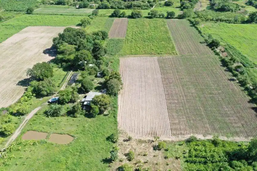 Tras el paréntesis de fin de año la militancia se moviliza para afrontar los desafíos electorales