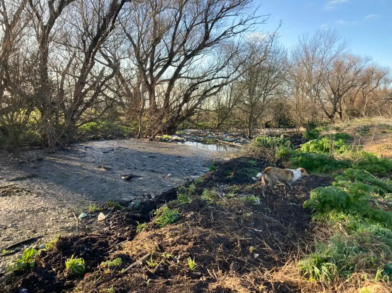 La comunidad de De la Canal padece la obstrucción y contaminación en dos puntos del cauce del Langueyú
