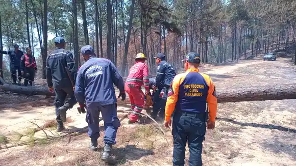BAJO CONTROL INCENDIOS  FORESTALES EN CARABOBO: desplegados más de 500 funcionarios en las zonas afectadas