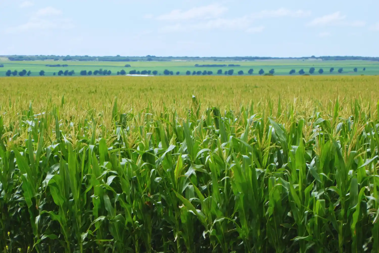 El Inta destacó el concepto de la agricultura adaptativa.
