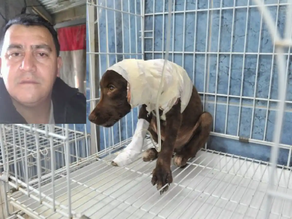 “Me quisieron linchar en la esquina de mi casa”