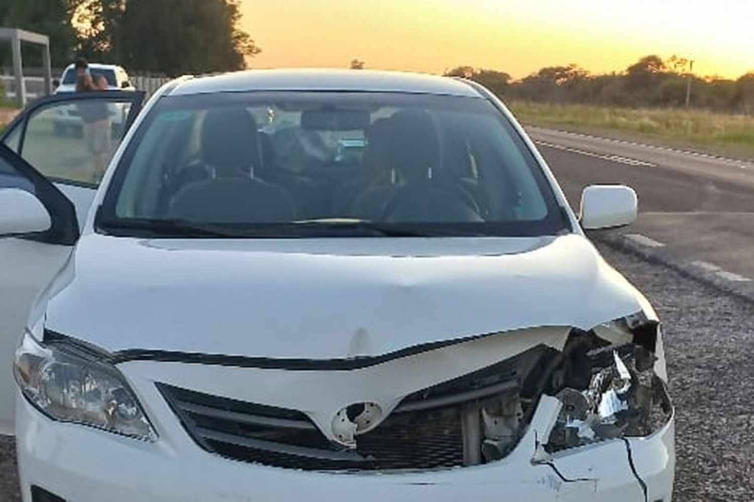 Cantantes y músicos entrerrianos salvaron de milagro su vida al embestir una manada de ciervos en la ruta
