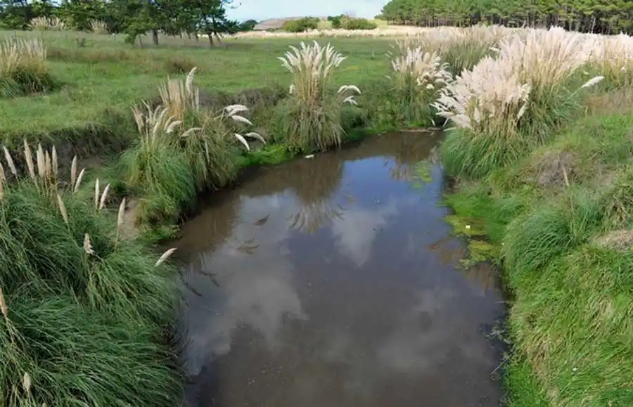 Menor mutilado: el lunes se realizan las pericias de ADN