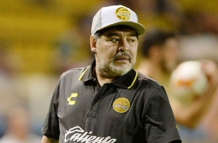 Maradona: «Los boludos son como las hormigas, están en todos lados»