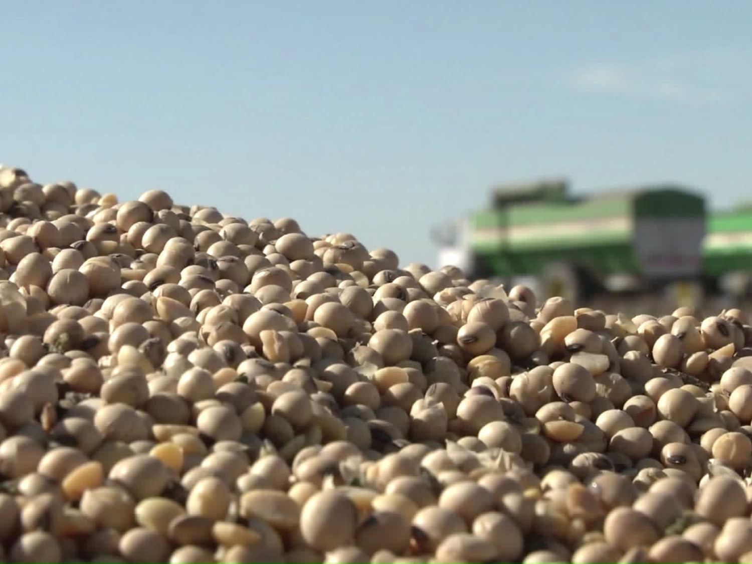 El agro apuesta todas sus fichas a la próxima campaña