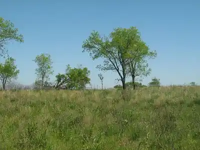 De la tierra hay que hablar alguna vez 