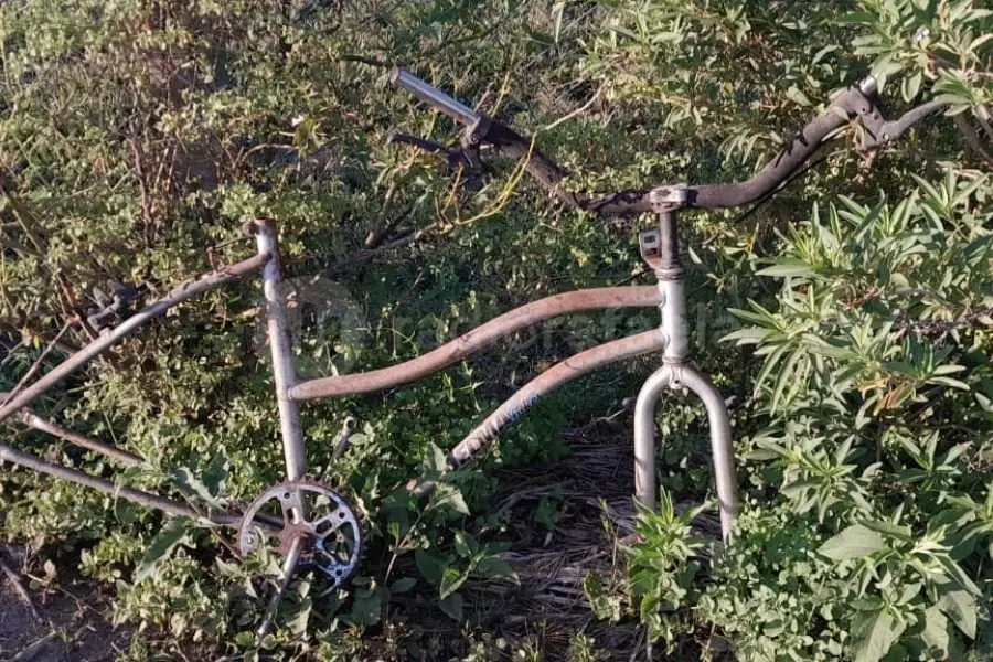 Escondida entre pastizales, apareció un cuadro de bicicleta