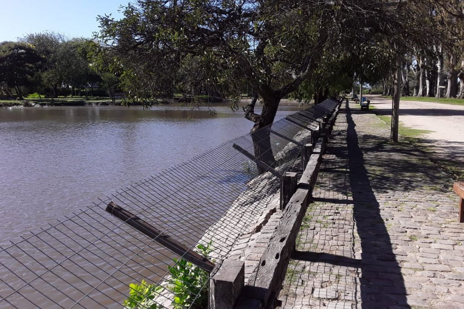 Limpiaron y reacondicionaron la laguna del Parque Unzué