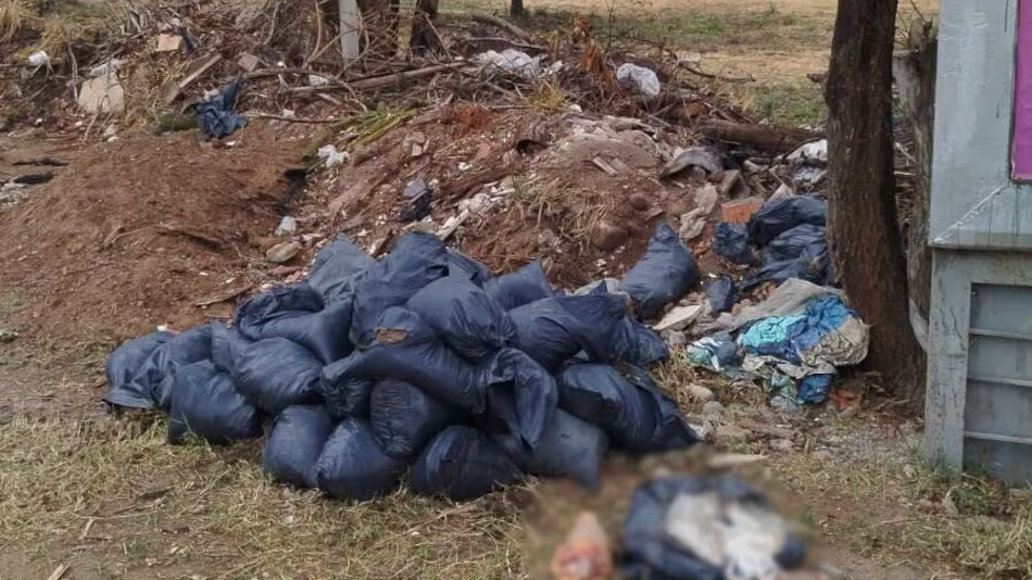 Hallaron más restos humanos cerca de donde apareció el cuerpo de Brenda Torres