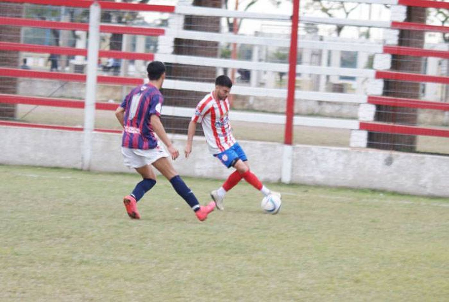 Se programó la 8va. fecha  de Primera División �SA⬝