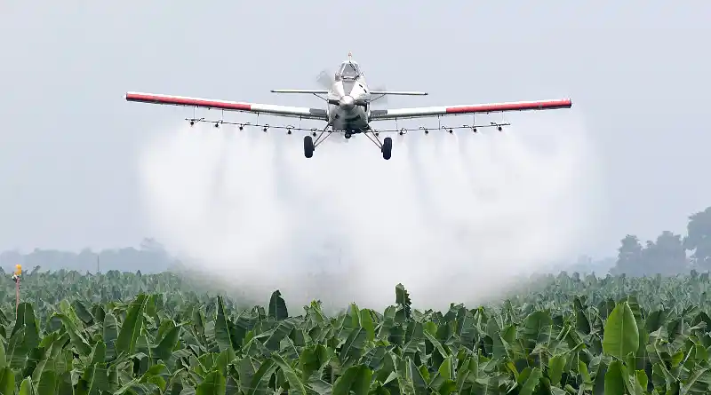 Fumigaciones: La Justicia rechazó la apelación del Gobierno